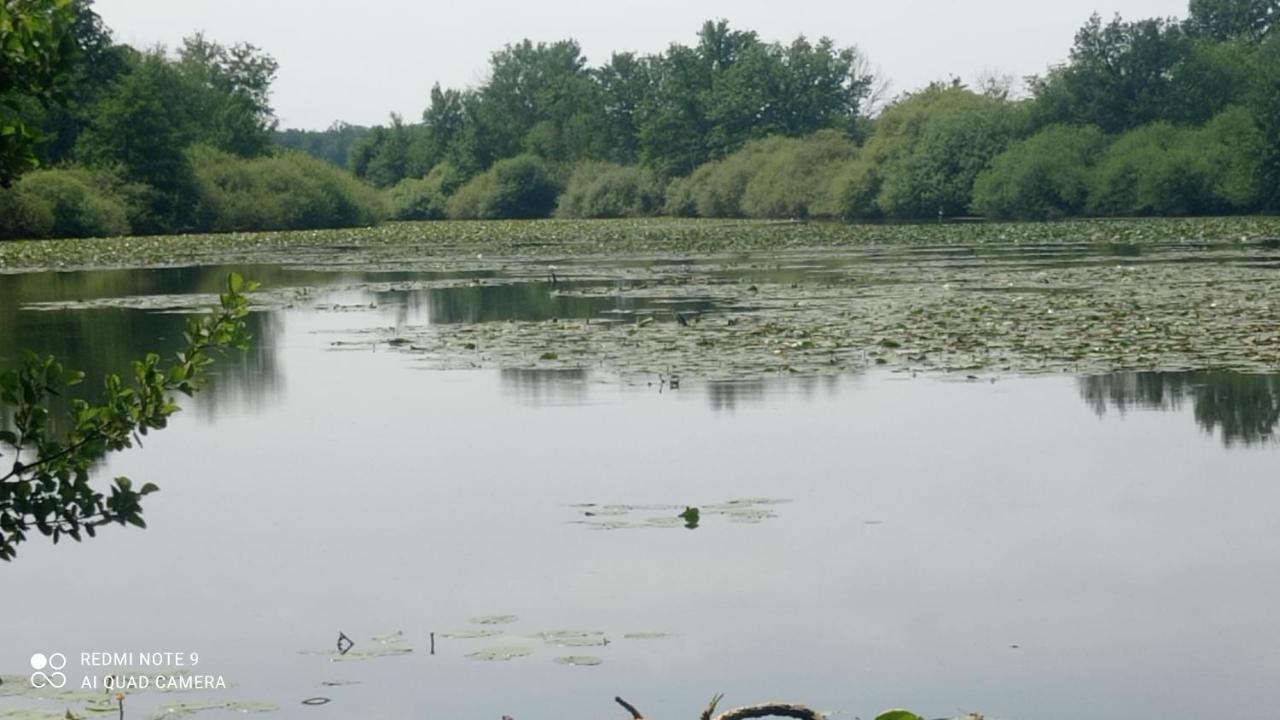 Maison De Ferme Au Calme Jusqu'A 10 Personnes Gannay-sur-Loire Экстерьер фото