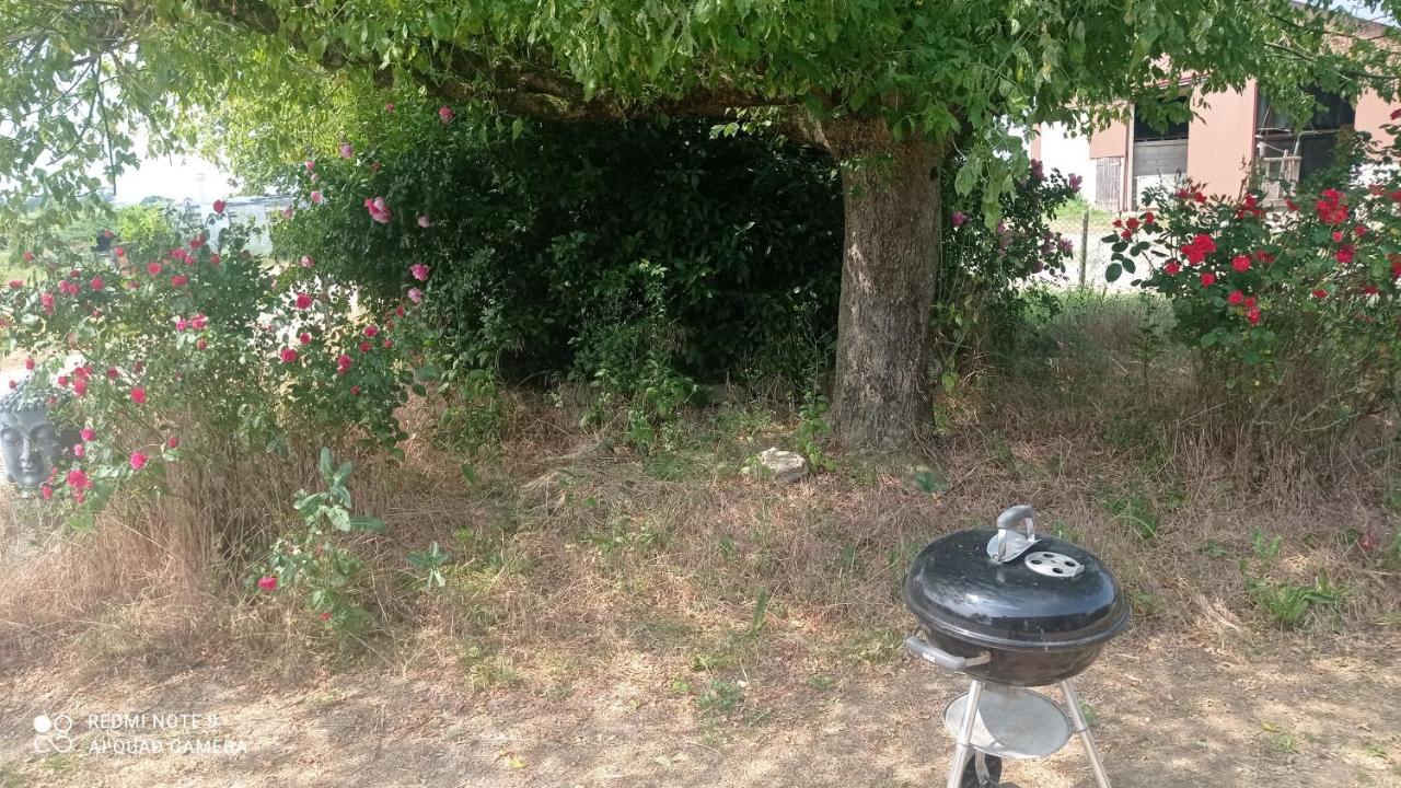 Maison De Ferme Au Calme Jusqu'A 10 Personnes Gannay-sur-Loire Экстерьер фото